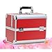 Tragbare professionelle Kosmetik-Tasche Koffer for Kosmetik große Kapazitäts-Frauen Reise-Make-up Taschen Box Maniküre Kosmetologie Fall (Color : B red)