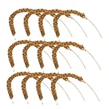 Happyyami Friandises Naturelles Aux Céréales Séchées pour Perroquets 60 G - Nourriture pour Perruches à Queue Courte pour Oiseaux Friandises Saines