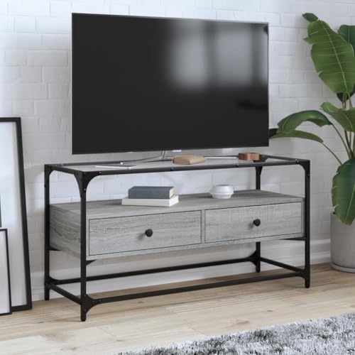 Mhdvray TV-Schrank Lowboard mit Glasplatte Grau Sonoma 98x35x51 cm Massiver Holzwerkstoff & Metallrahmen Modernes Fernsehtisch Design für Wohnzimmer & Schlafzimmer