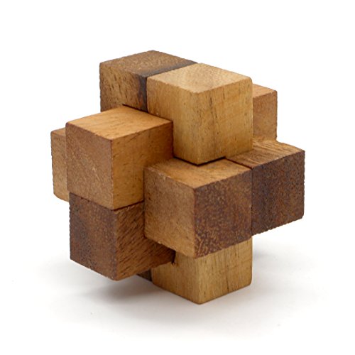 Burr Puzzle