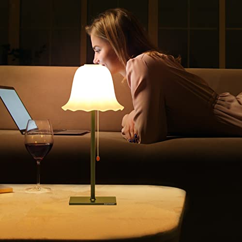 Madckdedrt Rechargeable Table Lamp,Led Light,3 Gear Dimming,Petal Glass Lamp Shade,Aluminum Base,Can Be Used For Living Room, Dining Table,Bedroom Lighting (Black) #TOP5