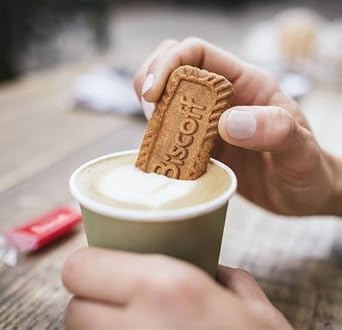 Lotus Biscoff Airplane Cookies, Caramelized Biscuit Cookies, Two-Pack (80 Count), Vegan