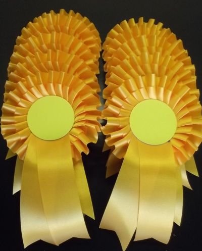 Yellow Rosettes