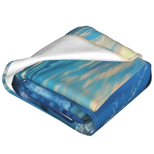 Plaid dauphin ultra doux, la couverture douillette qui réchauffe vos hivers