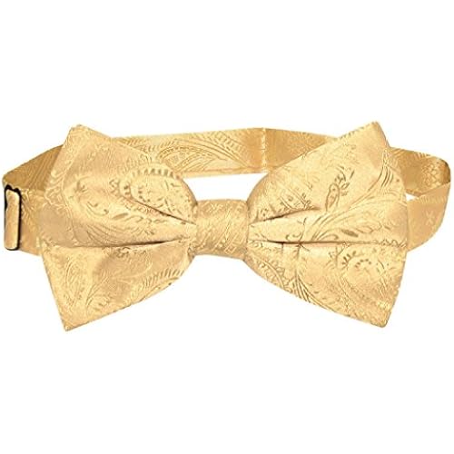 Vesuvio Napoli BOWTIE Paisley Color Mens Bow Tie for Tuxedo or Suit