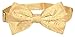 Vesuvio Napoli BOWTIE Gold Color Paisley Color Men's Bow Tie for Tuxedo or Suit