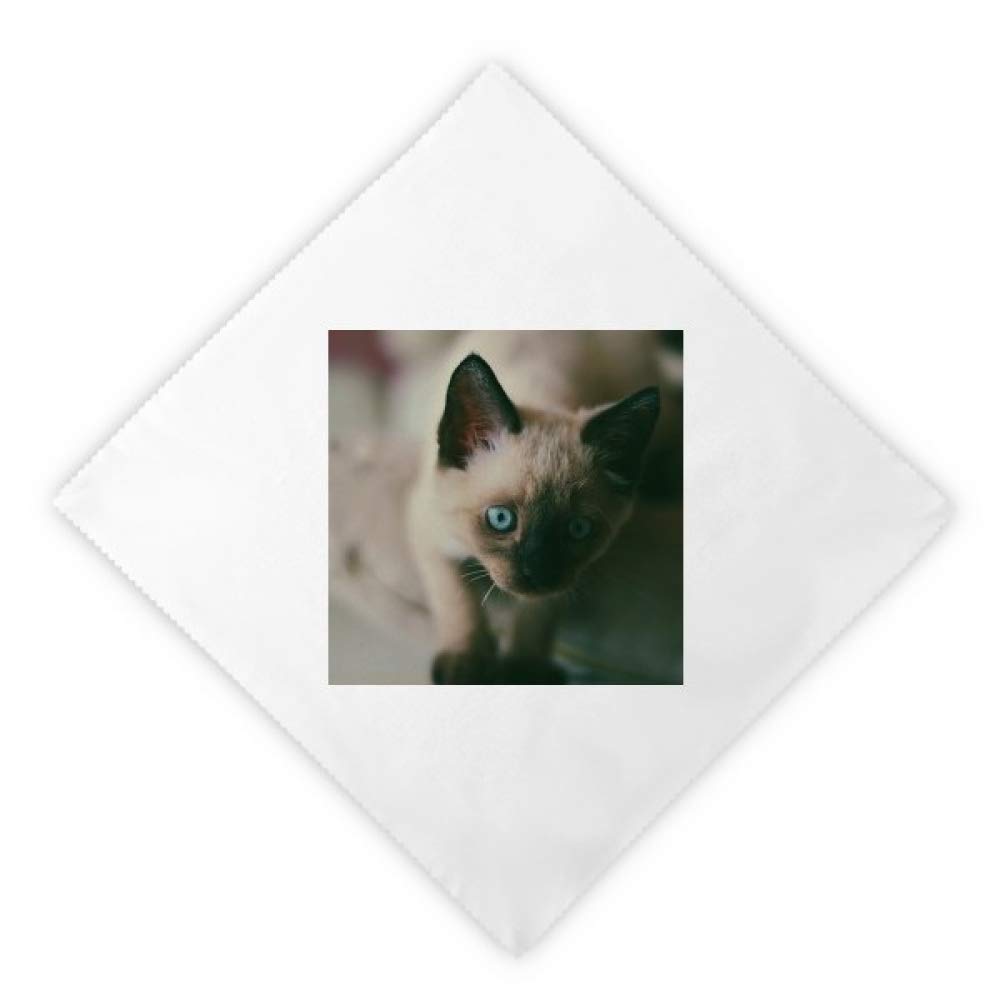 Serviettes de table chaton imprimé pour vos dîners et déjeuners en famille