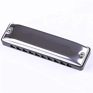 KIRANDIE Harmonica diatonique 10 Trous 20 Note Blues Harp Key C ABS Peigne Brass Reeds Instruments de Musique (Color… – Image 2