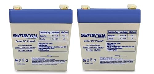 24-Volt Battery Pack (Consist of (2) 12 Volt Batteries for The Razor Crazy Cart E100, E100 Glow, E125 Scooter W13110050003 (Will Not Fit Crazy Cart Shift or The E100 Power Core) Beiter DC Power