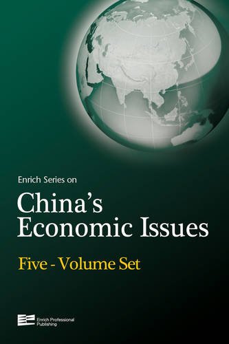 Enrich Series on China's Economic Issues