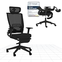 FLEXISPOT Foldex Ergonomic Office Chair with Foldable Backrest, Folding Desk Chair for Small Spaces with Lumbar Support, Flip-up Armrests, 3D Headrest and Footrest for Home Office - Black