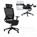 FLEXISPOT Foldex Ergonomic Office Chair with Foldable Backrest, Folding Desk Chair for Small Spaces with Lumbar Support, Height-Adjustable Armrests, 2D Headrest and Footrest for Home Office black