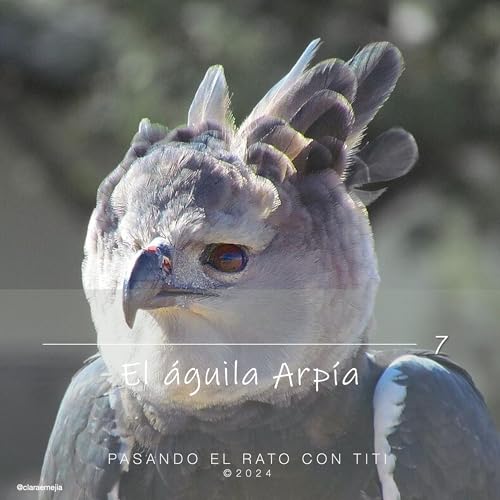 7. El &Aacute;guila Arp&iacute;a