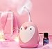 Umidificatore D'Aria Diffusore D'Aria Usb Simpatico Pinguino Umidificatore 220Ml Aroma Per Home Office Auto Nebbia Diffusore Di Olio Essenziale 99X108Mm