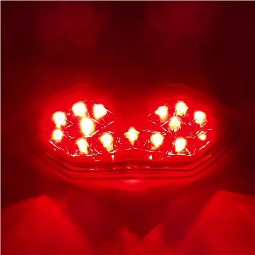 Luz trasera con intermitentes de freno integrados para optimizar tu moto KLE 650 5