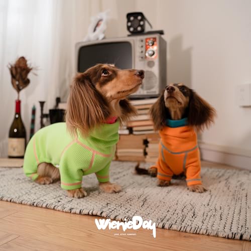 WienieDay Dachshund Dog Turtleneck Sweater, Waffle Pullover Jumpsuit for mini Dachshunds, Soft 4-Leg Dog Pajamas, Snug Outfit for Long Body Breeds (Green, Small(7-12lbs)) by WienieDay - Used condition - Image 6