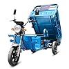 Oryxearth 1000W Electric Tricycle Cargo Carrier w/ 440LBS Capacity, 31-Mile Range, 2.12 cu ft Storage & LED Display, Blue #1