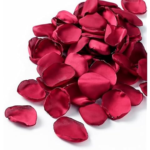 Byitre 200PCS Artificial Flower Petals Silk Rose Flower Petals for Valentine's Day,Flower Petals to Throw at Wedding, Flower Girl, Dinner Table Centerpieces(Wine Red) Cover