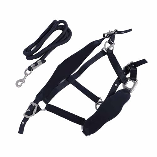Licol pour cheval réglable en polyester noir avec longe de 2m haute résistance