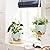 GARDIFE Hanging Planters for Indoor Plants, Hanging Basket, Macrame Plant Hanger, Self Watering