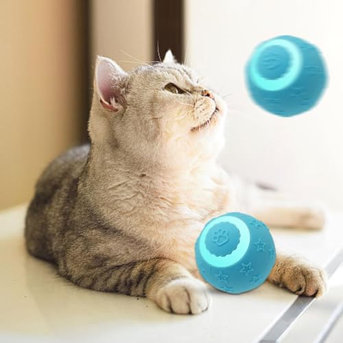 Bola interactiva para gatos recargable con dos puntas intercambiables para juego interior 4