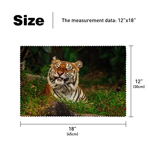 Placemats, Durable Placemats For Dining Table,Washable Kitchen Placemats Set Of 6, Animal Tiger #TOP4
