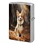 Corgi Dog