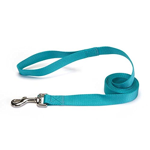 Zack & Zoey Basic Nylon Dog Leash, 6-Feet X 1-Inch Lead, Bluebird #TOP1