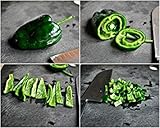 Fácil de usar 10 - Semillas: Semillas Poblano L Pimienta Caliente - es el Favorito México Chile Pimienta! ¡¡¡Delicioso!!!
