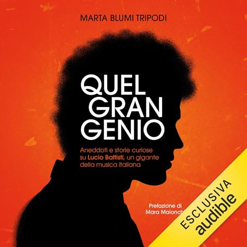 Quel gran genio cover art