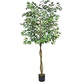 6.6FT (80'') Ficus Tree Artificial, Tall Faux Trees with Triple Plastic Trunk and Realistic Leaves f