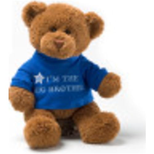 GUND “I’m The Big Brother” Message Bear with Blue...