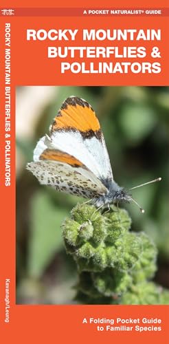 Rocky Mountain Butterflies & Pollinators (Nature Observation North America)