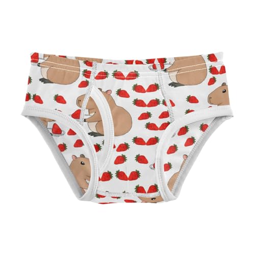 Boys' Exclusive Briefs Toddler Underwear 95% Combed Cotton Boxerbriefs 2T Capybara and Strawberry Pattern 21