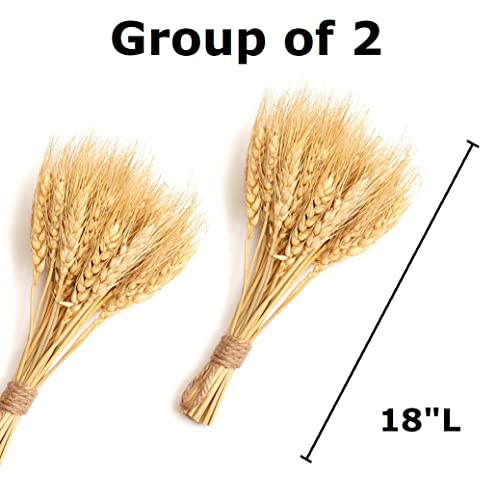 Factory Direct Craft Artificial Succulent Picks | Set of 3