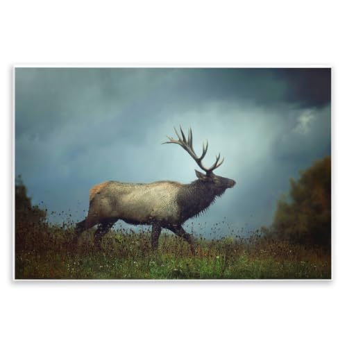 'Serene Elk in Nighttime Clearing Wildlife'| Wall Plaque Art