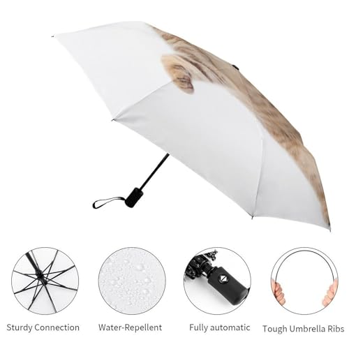 Parapluie pliant automatique crâne robuste face aux intempéries - 3