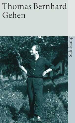 Gehen (suhrkamp taschenbuch)