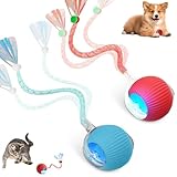 Supore Interactive Cat Toy, 2pack Active Rolling Ball with Tail for Dogs, Automatic Cat Toys Interactive for Indoor Cats, USB Rechargeable Moving Pet Toy Stimulate Cats' Hunting Instincts
