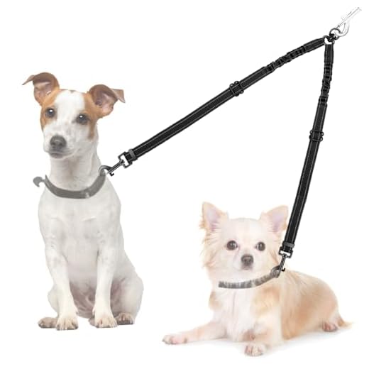 AUTOWT Double Dog Leash, No Tangle 360° Swivel Rotation Reflective Lead Attachment Adjustable Length Dual Two Dog Lead Splitter, Comfortable Shock Absorbing Walking Training for 2 Dogs