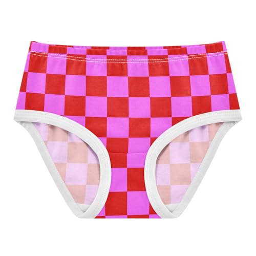 Red and Pink Buffalo Checkered Toddler Girls's Underwear 2T