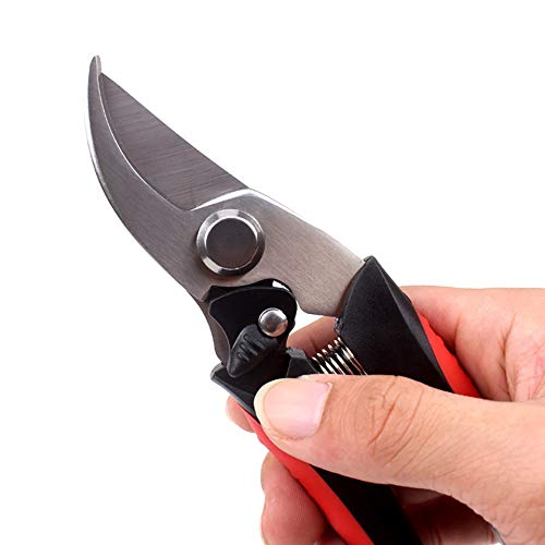 Cesoie per potatura a cricchetto per Alberi, cesoie per innesto, cesoie da Giardino, Utensili per Bonsai, cesoie manuali Professionali, Forbici Antiscivolo