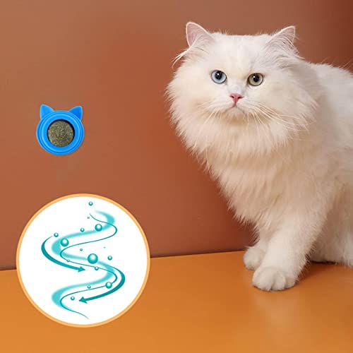 Brinquedo Comestível Catnip,Durável e seguro Magic Catnip Roller Ball Toy - Brinquedo de bola de cat