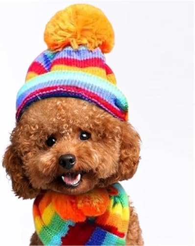 AttRex  ybgLbv  L jbgXq }t[ ^ ^ nbg ̌ h g hbOEFA Ԃ \ AEghA o (XXS,Jt)