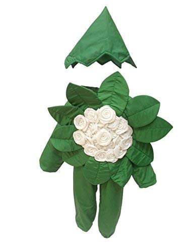 Image of Kaku Fancy Dresses Fruit and Vegetable Costume Paper Cutout with Cap For Kids | Healthy Food Costume For Boys & Girls (Tracksuit Not Included)
