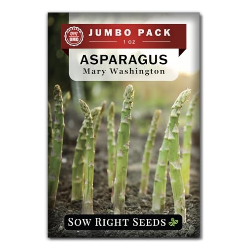 Sow Right Seeds - Bulk Mary Washington Asparagus Seeds for Planti...