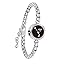 Silver-Aries