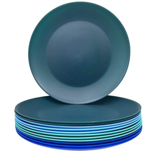 AOYITE Plastic Plates Reusable 10 inch, Unbreakable Dinner Plates set of 12, BPA Free Microwave & Dishwasher Safe Party Plate for Any Occasion, BBQ, Travel, Events (Coastal)