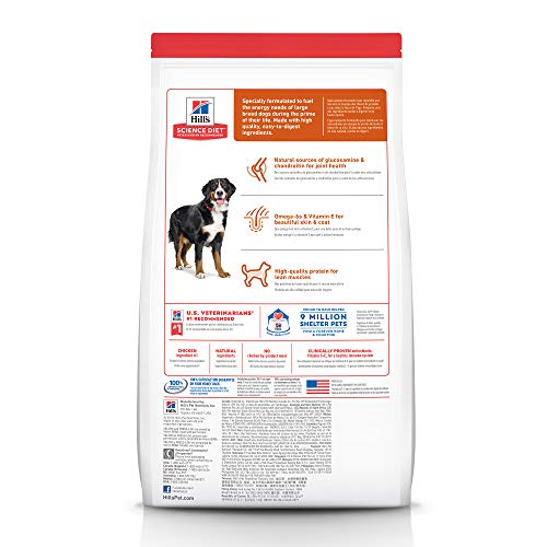 Ração Hill's Science Diet para Cães adultos Raças Grandes sabor frango 12kg