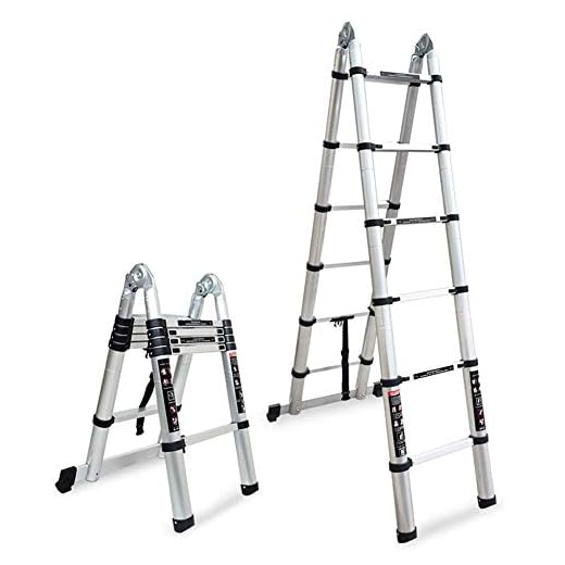ESSEASON Teleskopstege i aluminium, bärbar kraftig multifunktionell aluminium hopfällbar teleskopstege, 350 lbs lastkapacitet (storlek: 5 m = 2,5 m + 2,5 m)